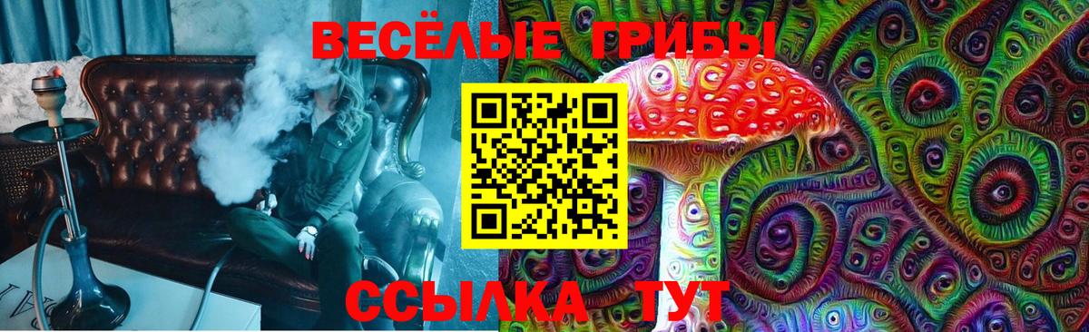 Галлюциногенные грибы ЛСД  Вход с VPN  Петрозаводск  Галлюциногенные грибы мухоморы 
